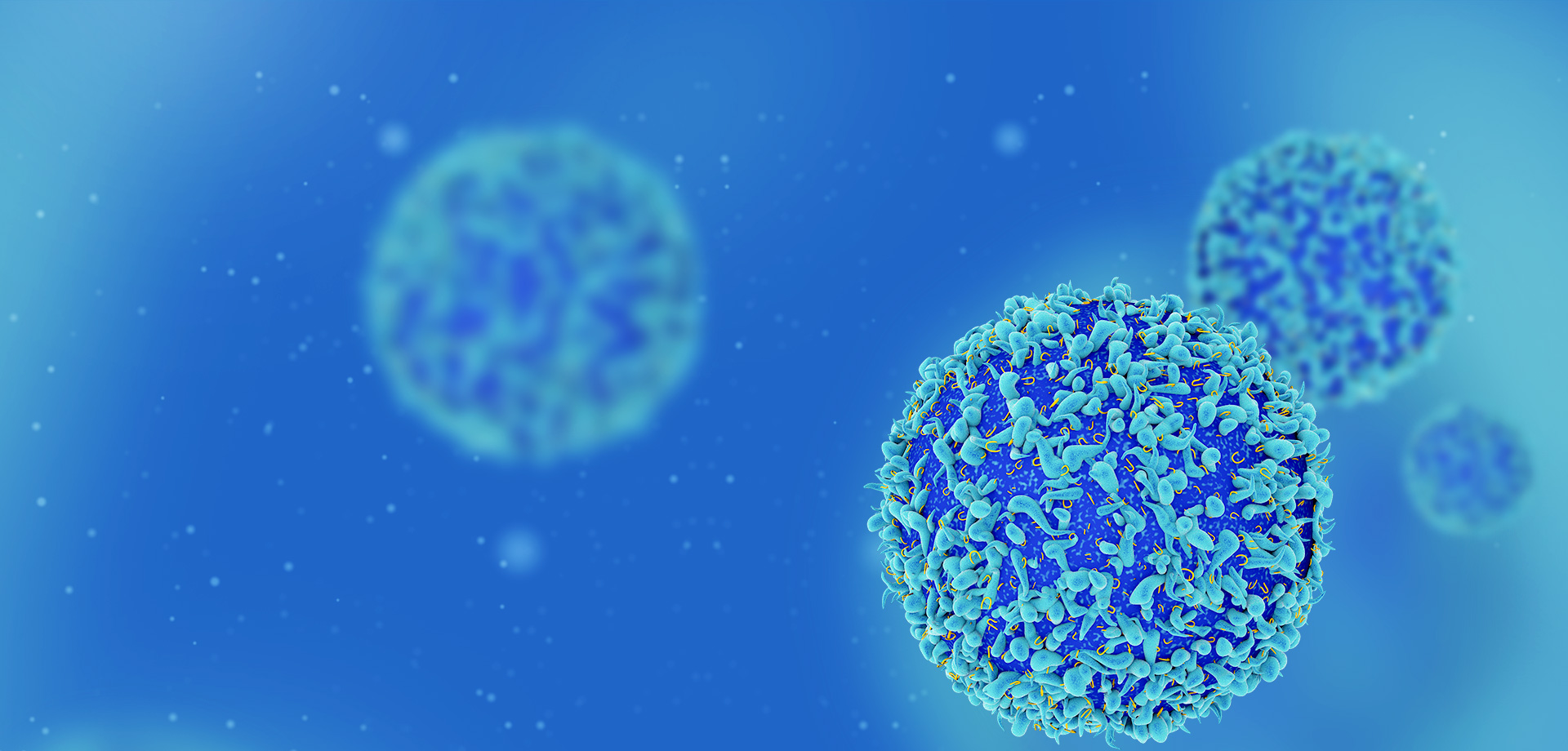 成為全球細(xì)胞免疫治療領(lǐng)域的領(lǐng)導(dǎo)者之一。